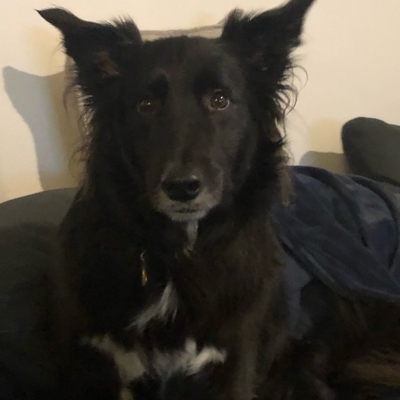 Meet your Posher, Kristin - Picture 1 of 1